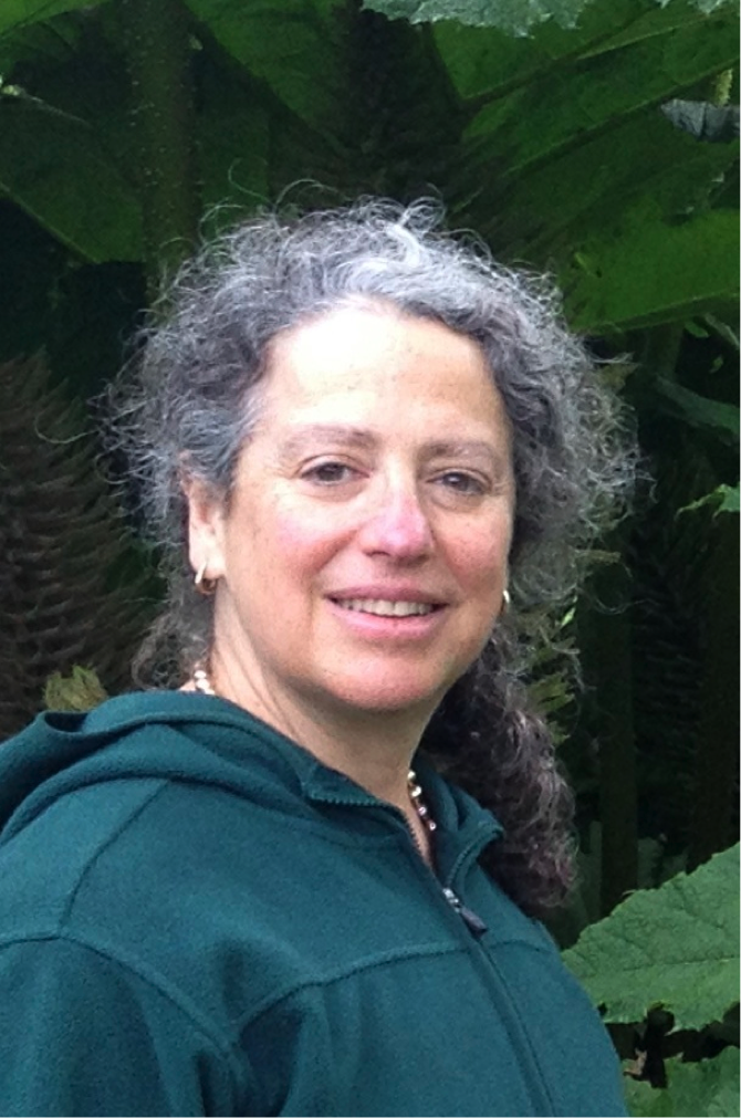 HC Rodsanne Wasserman HC Rodsanne Wasserman